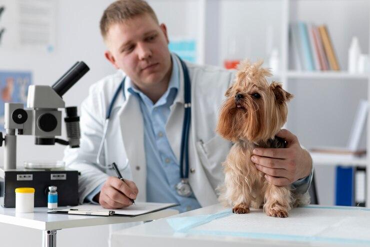 Importância dos exames laboratoriais na saúde animal