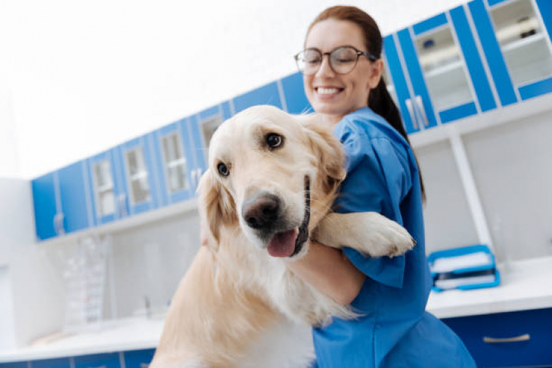 Cálculo Urinário em Cães Tratamento Valores Centro  de São Vicente - Cálculo Urinário para Gatos Tratamento