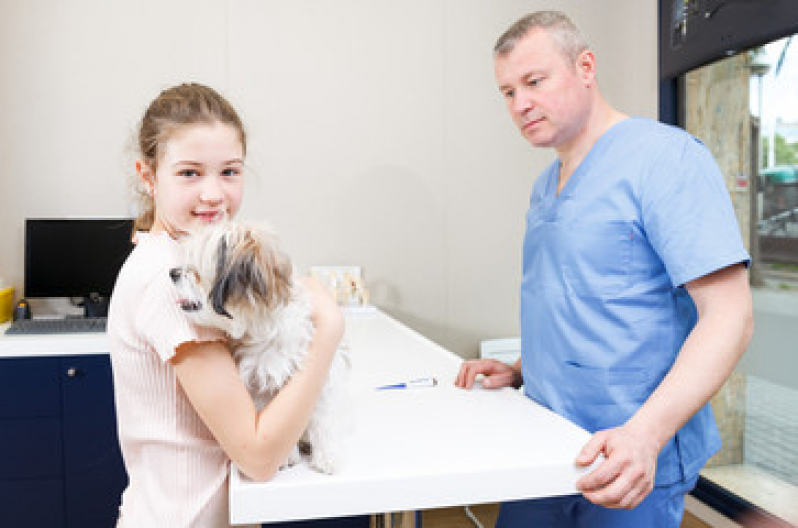 Clínica de Diagnóstico Veterinário Contato Vila Gilda - Centro de Diagnóstico Animal