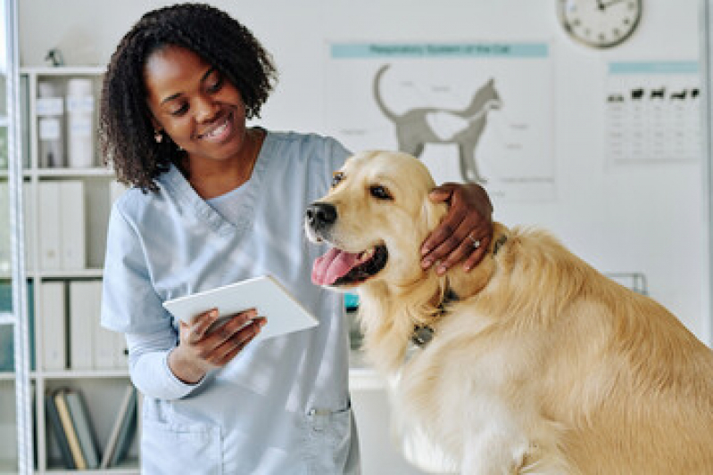 Clínica de Exame para Cães Próximo de Mim Porto Macuco - Clínica para Saúde Animal