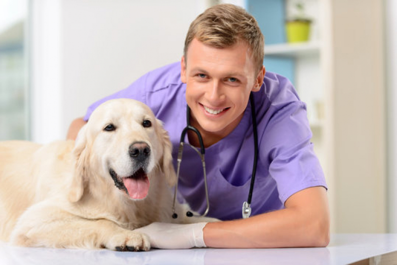 Clínica para Cachorro Canto do Forte - Clínica para Saúde Animal