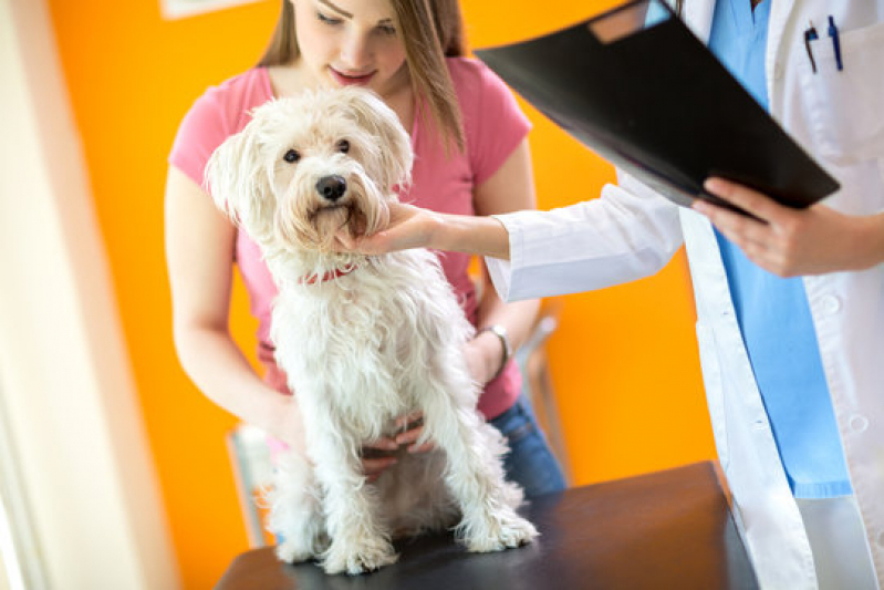 Clínica para Exames Laboratoriais para Aves Real - Exames Laboratoriais para Cachorro