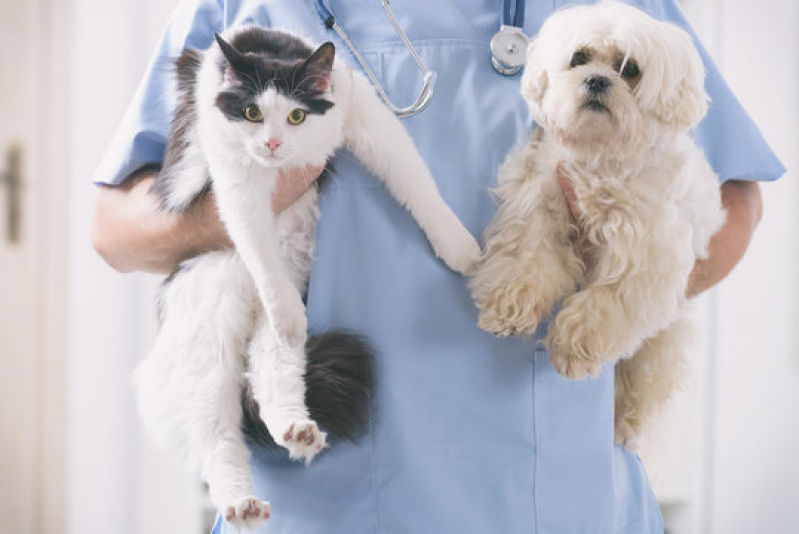 Clínica para Exames Laboratoriais para Cachorro Monte Cabrão - Exames Laboratoriais para Cachorro