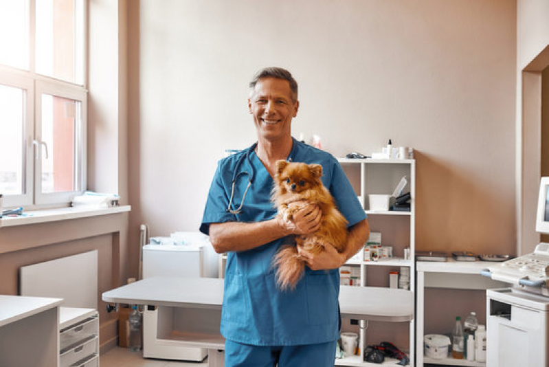 Clínica para Exames Laboratoriais para Gatos Santa Júlia - Exames Laboratoriais para Animais de Grande Porte
