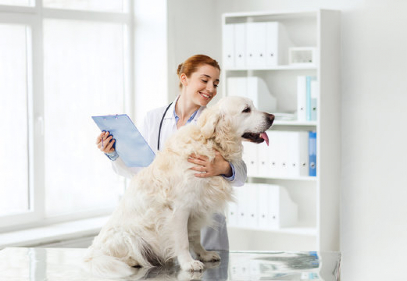 Clínica para Saúde Animal Próximo de Mim Caiçara - Clínica de Exame para Cachorro