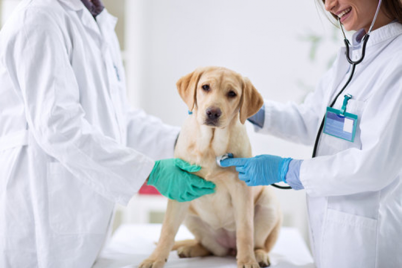 Clínica Veterinária Calopsita Endereço Solemar - Clínica Veterinária para Cães