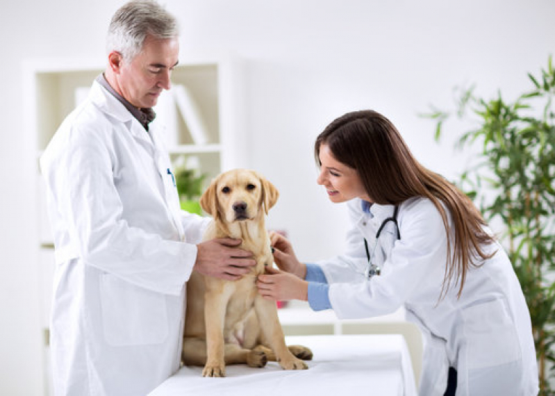 Clínica Veterinária Calopsita Voturua - Clínica Veterinária para Cães e Gatos
