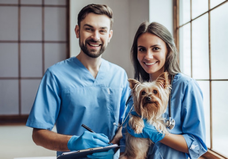 Clínica Veterinária Frangos Perto de Mim Nova Itanhaém - Clínica Veterinária para Cachorro