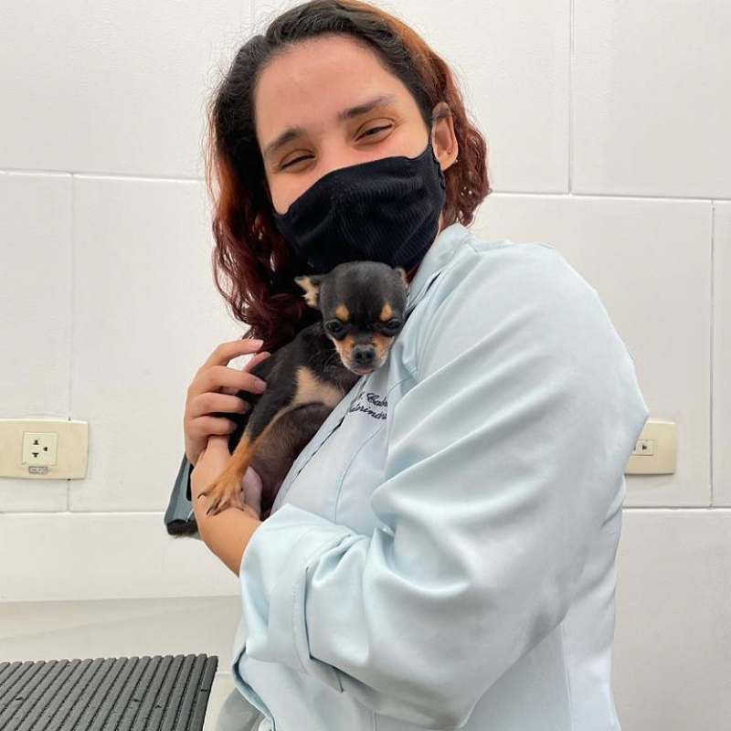 Clínica Veterinária Pet Contato Vila Belmiro - Clínica Veterinária Próximo a Mim