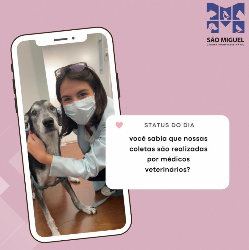 Clínica Veterinária Popular Telefone Barra Funda Guarujá - Clínica Veterinária Pet