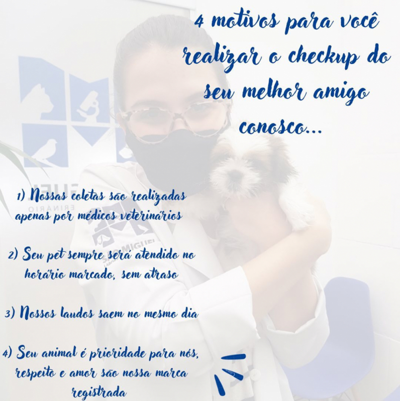 Clínica Veterinária Próximo de Mim Saboó - Clínica Veterinária Popular Santos