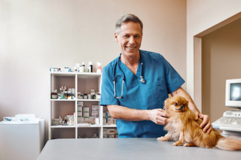 Clínicas Veterinária para Cachorro Próximo de Mim Balneário Flórida - Clínicas Veterinária para Pets