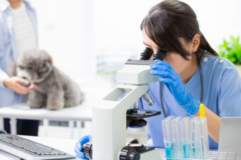 Contato de Centro de Diagnóstico Animal Valongo - Clínica de Diagnóstico Veterinário