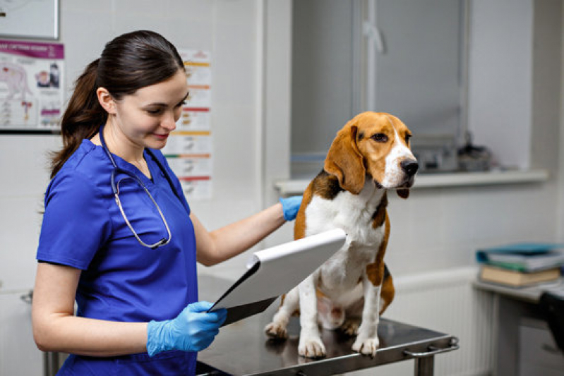 Contato de Clínica Veterinária para Filhote Suarão - Clínica Veterinária para Cães e Gatos