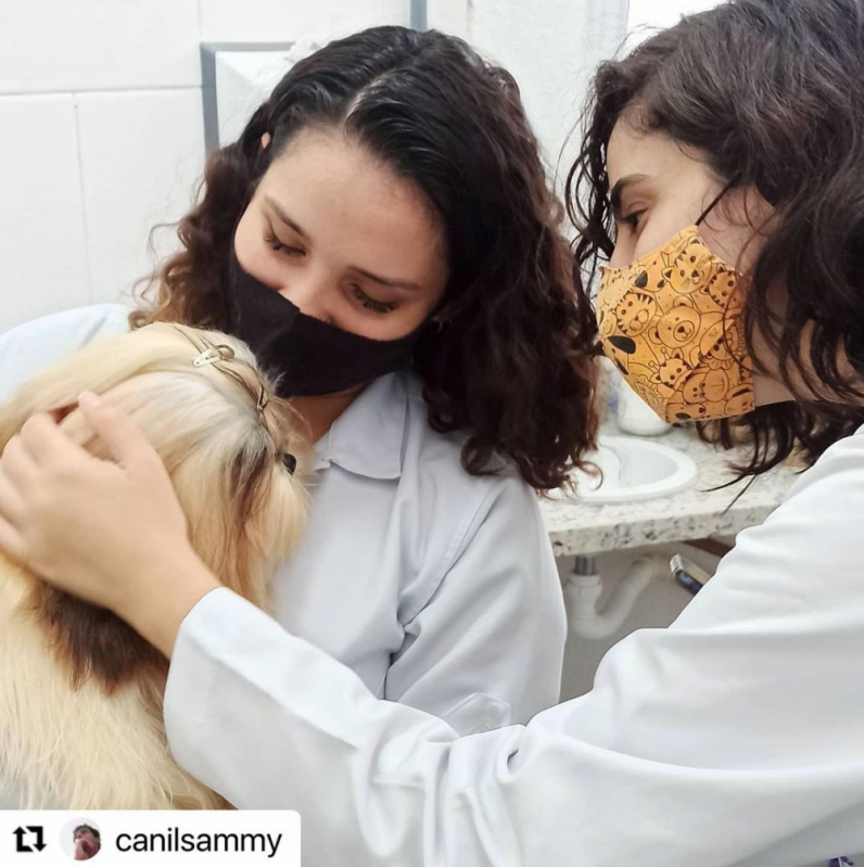 Contato de Laboratório de Análises Veterinárias Vila Jockei Clube - Laboratório de Exames para Animais