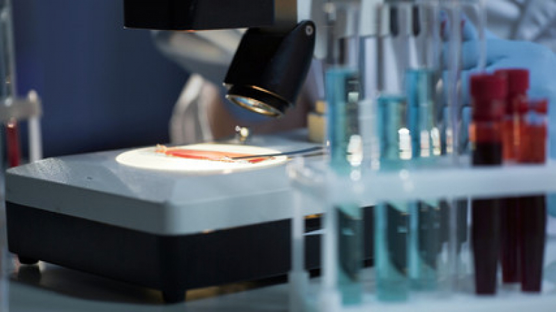 Contato de Laboratório Veterinário Exame de Sangue Itaóca - Laboratório Veterinário Análises Bioquímicas