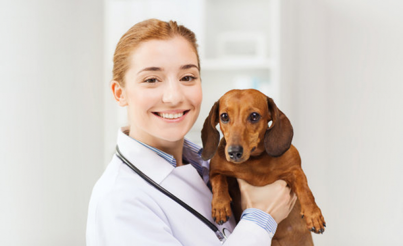 Endereço de Clínica Veterinária para Cachorro Centro de Itanhaém - Clínica Veterinária Calopsita