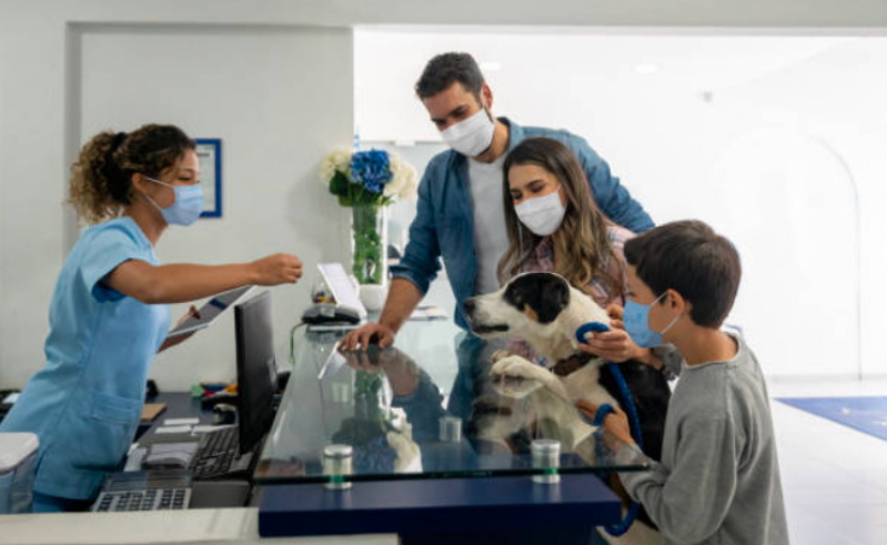 Exame de Fezes de Cachorro Porto Alemoa - Exame de Fezes em Cães