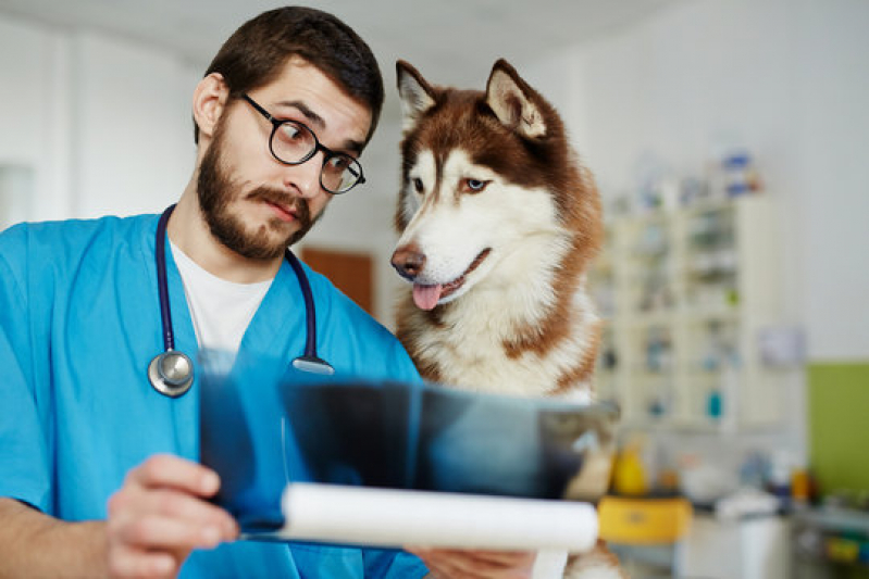 Exames Laboratoriais para Aves Clínica Guarujá - Exames Laboratoriais para Cachorro