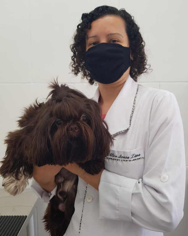 Laboratório de Análises Clínicas Veterinárias Contato Praia dos Sonhos - Laboratório Veterinário Pet Praia Grande