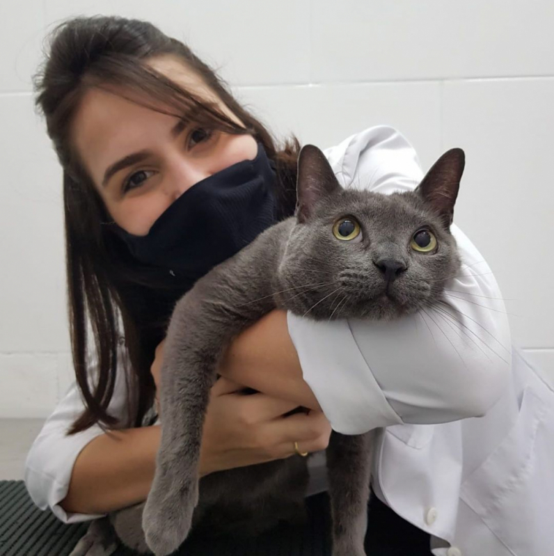 Laboratório de Análises Clínicas Veterinárias Agenor de Campos - Laboratório Veterinário Pet Santos