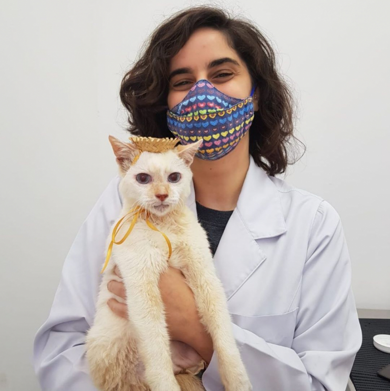 Laboratório de Análises Veterinárias Contato Campo Grande - Laboratório de Exames para Animais
