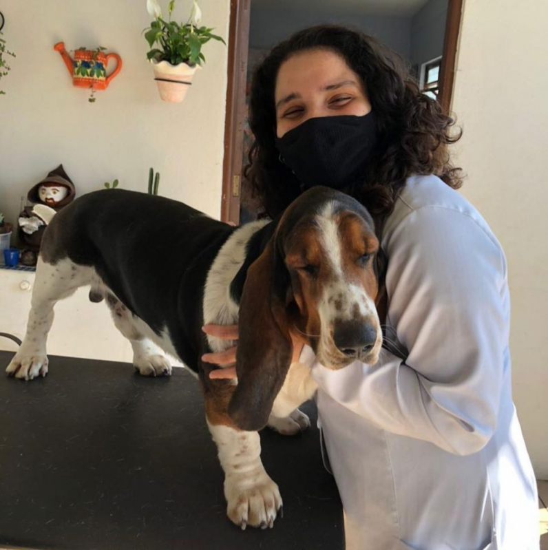Laboratório de Exames para Animais Contato Caneleira - Laboratório Veterinário Pet Santos