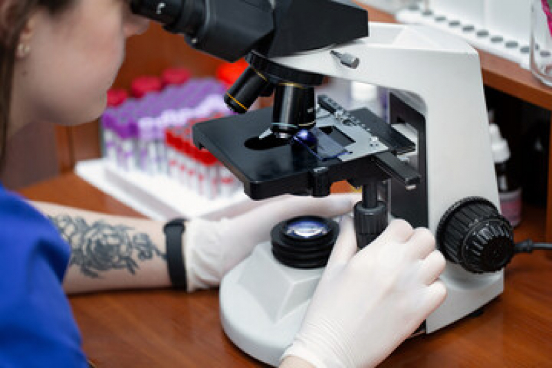 Laboratório de Veterinária Contato Real - Laboratório Veterinário Exames Laboratoriais