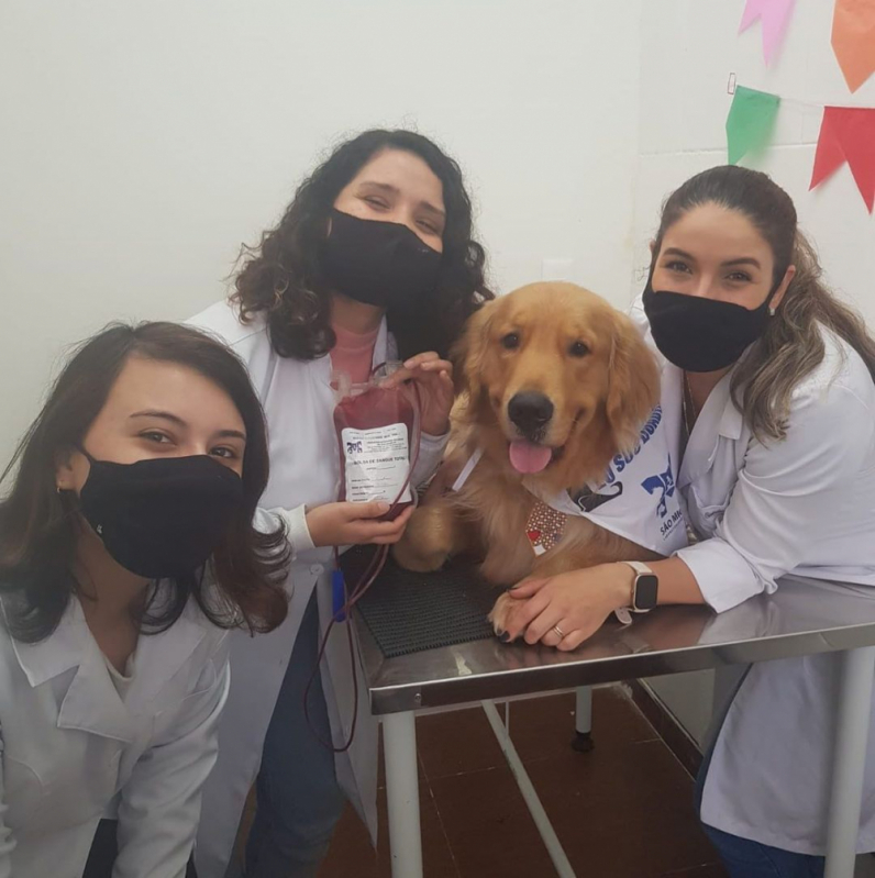 Laboratório para Análises Veterinárias Telefone Jardim Acapulco - Laboratório Veterinário Próximo de Mim
