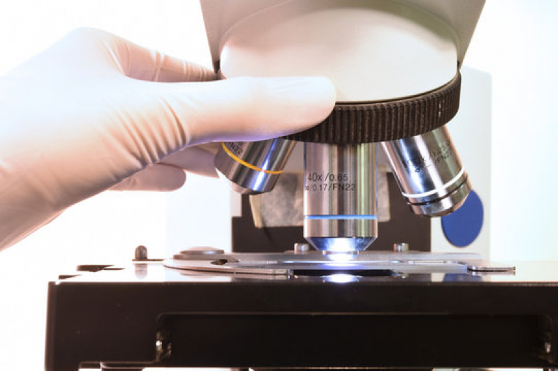 Laboratório Veterinário Análises Bioquímicas Contato Maracanã - Laboratório Veterinário Exames Laboratoriais