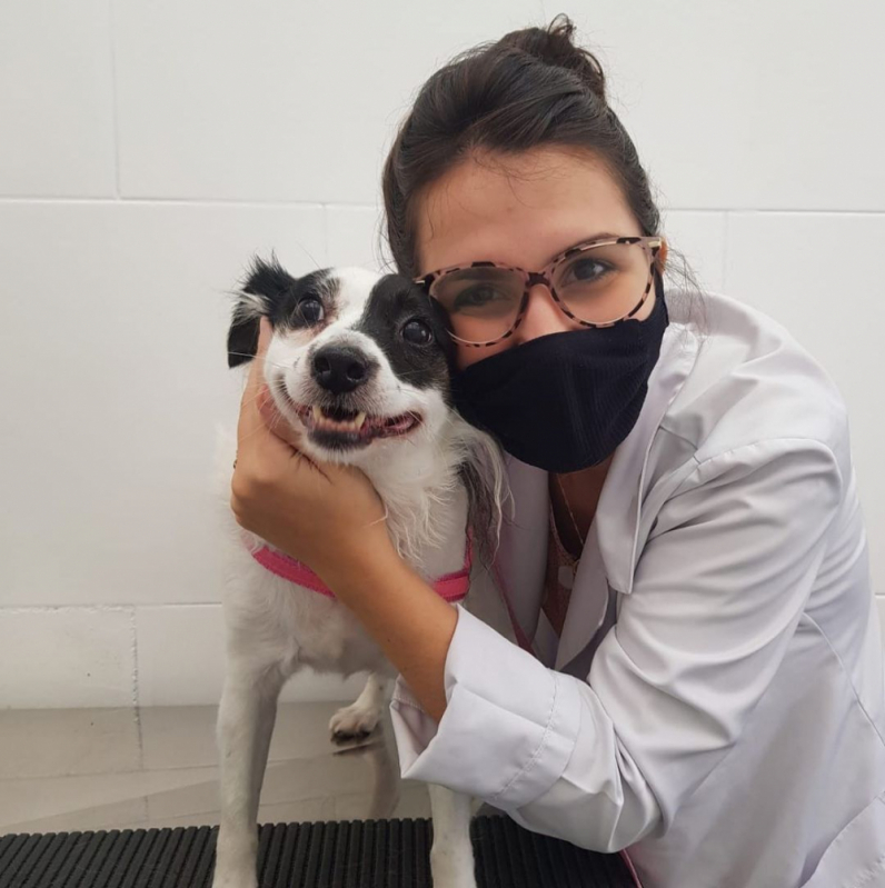 Laboratório Veterinário Mais Próximo de Mim Mirim - Laboratório Veterinário Pet Santos
