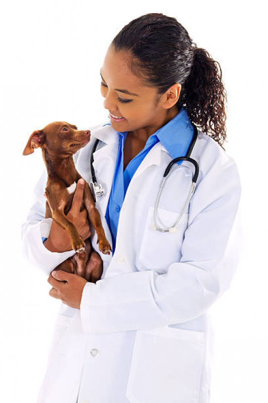 Onde Fazer Exame de Coproparasitológico em Cães Gaivotas - Exame de Coproparasitológico em Cães
