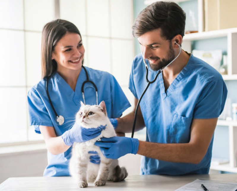 Onde Tem Clínicas Veterinária para Gato São Vicente - Clínicas Veterinária para Cachorro