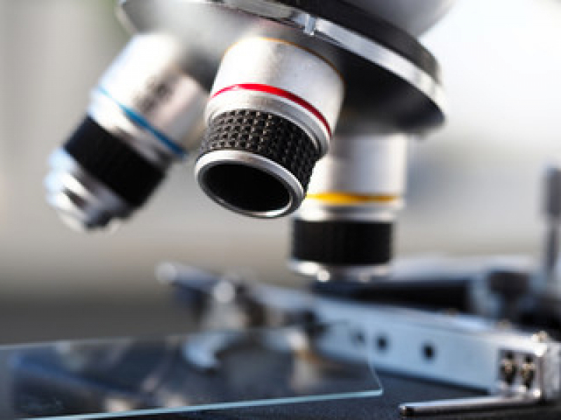 Preço de Exame de Colpocitologia Oncótica Flórida - Exame Citologia de Veterinária