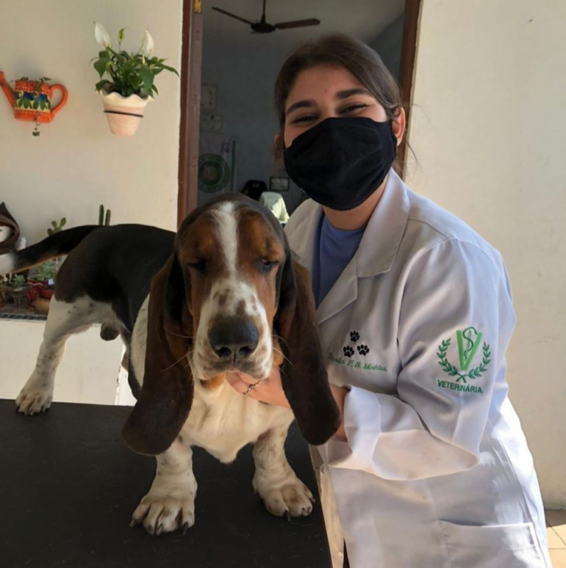 Telefone de Laboratório de Exames para Animais Vila Gilda - Laboratório Veterinário Pet Praia Grande