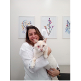 Hemoterapia em Animais Santos