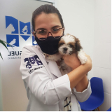 clínica 24 horas veterinária contato Vila Rica