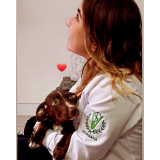 clínica 24 horas veterinária Vila São Paulo