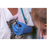 clínica com exame pcr veterinário Jardim Guaiuba