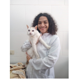 clínica com pcr para cães e gatos Vila Matias