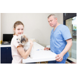 clínica de diagnóstico veterinário contato Loty