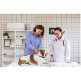 clínica de diagnóstico veterinário Estuário
