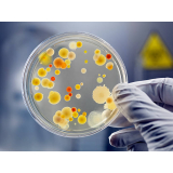 clínica de microbiologia e parasitologia Jardim Virginia