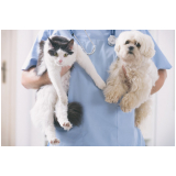 clínica para exames laboratoriais para cachorro Mosteiro