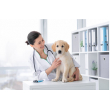 clínica para exames laboratoriais para cães Vila mar
