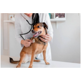 clínica para hemograma completo para cachorro Jardim Virginia