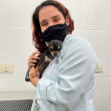 clínica veterinária 24 horas contato Vila São Paulo