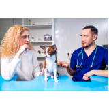 clínica veterinária diagnóstica contato Vila mar