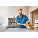 clínicas veterinária para cães próximo de mim Vila mar