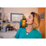 clínicas veterinária para papagaio Vila tupi